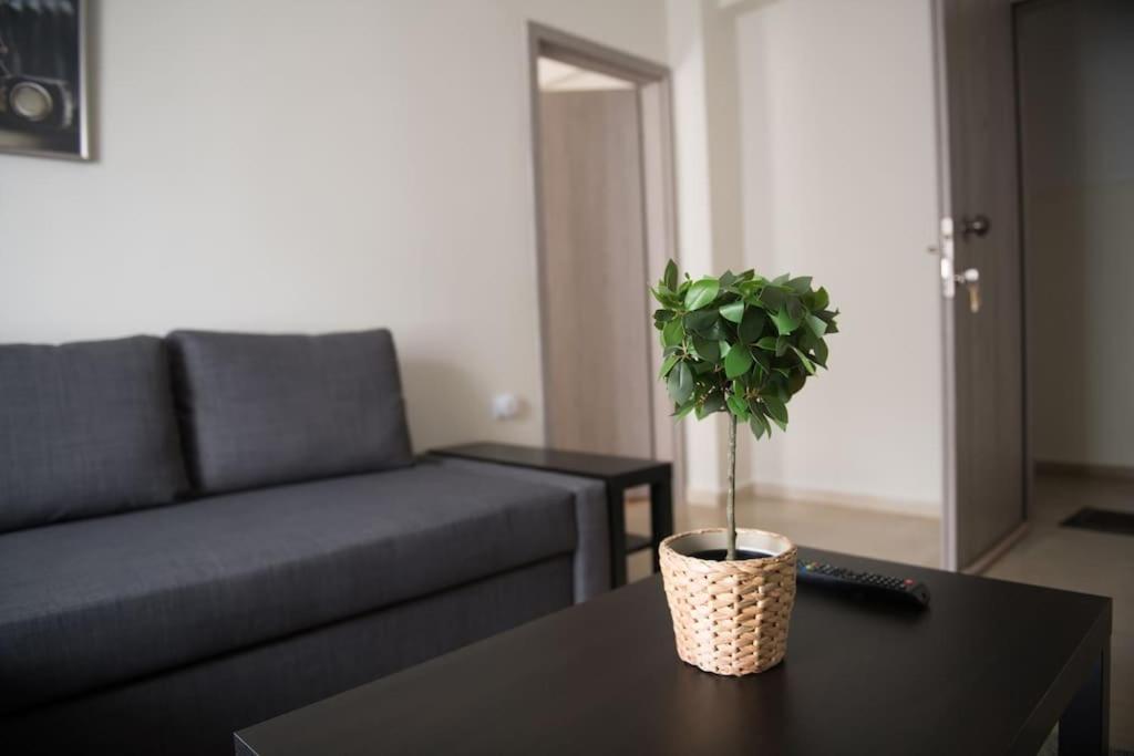 Markopoulosapartments نيا موذانيا المظهر الخارجي الصورة